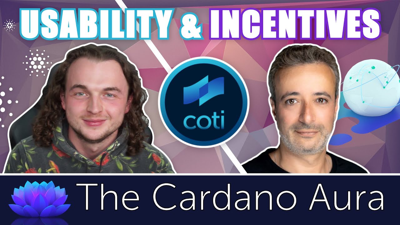 Djed Coti Usability and Incentives
