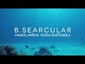 DOCUMENTAL B·SEARCULAR: MARES LIMPIOS, MODA SOSTENIBLE