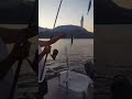 fishing montenegro 10/10 adriatic sea