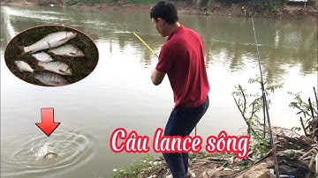 CÂU LANCE SÔNG VÁCH BẮC CẦU LỒI HƯNG HUGO