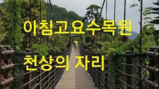 아침고요수목원 아침고요산책길 영상