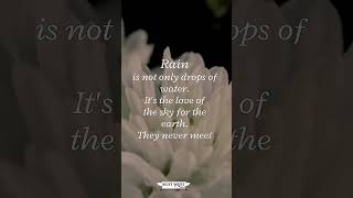 Rain Quotes || Rainy Day Quotes... #youtubeshorts #rain