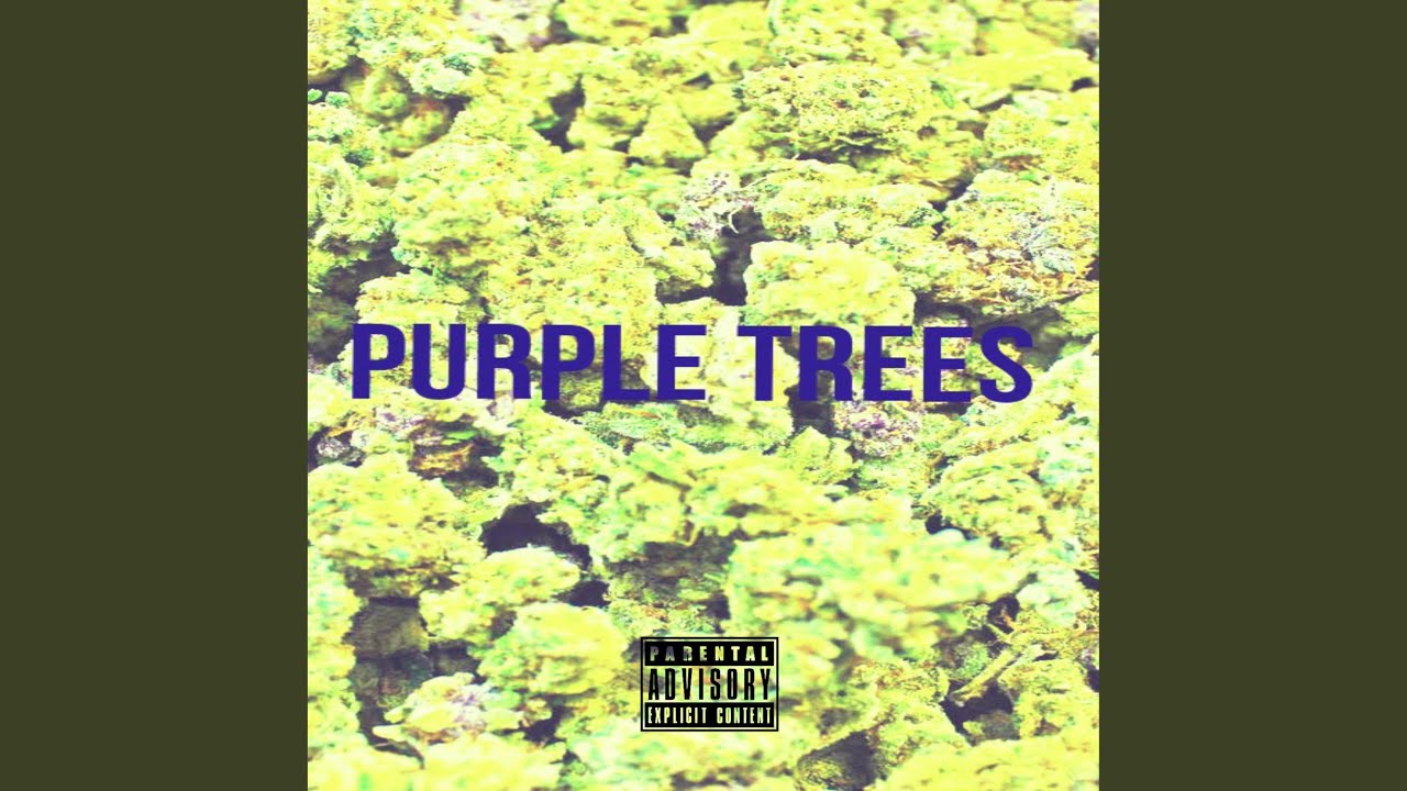 Watch Purple Trees on YouTube Watch Purple Trees on YouTube