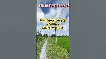 Kẹt tiền bán gấp #giangdatruong