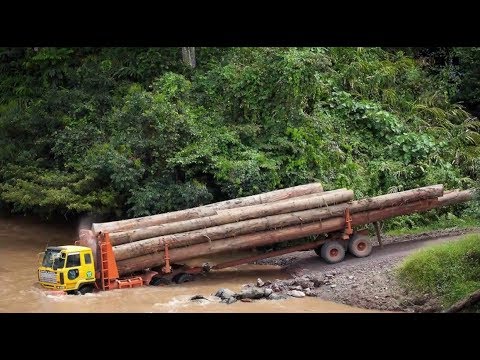 Kekuatan Truk  Sesungguhnya  Muatan Kayu  Gelonggongan 