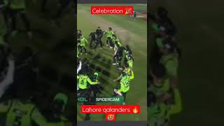 celebration 🎉 #psl8 #lahoreqalandars