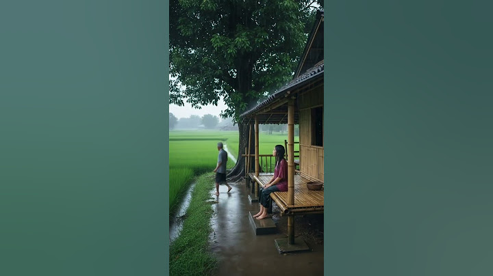 Soaked in the rain, but the heart stays calm 🌾🌧️✨#RainyDayVibes #nature #simplelife