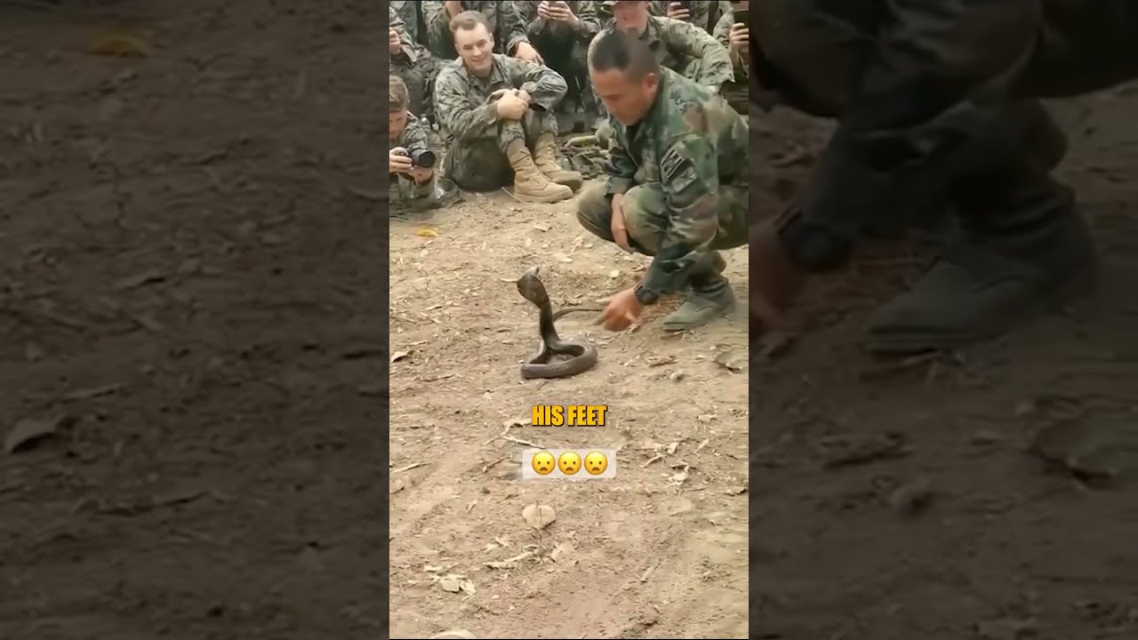 This Solder Tamed A Snake