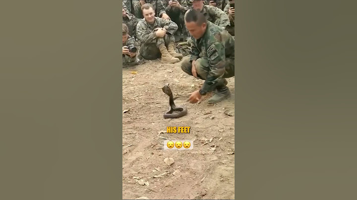 This Solder Tamed A Snake