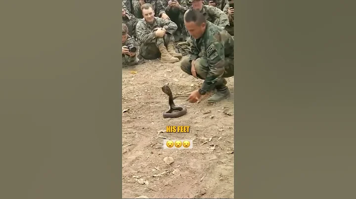 This Solder Tamed A Snake - DayDayNews