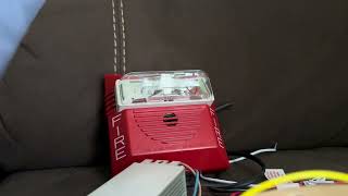 Wheelock NS-24MCW-FR