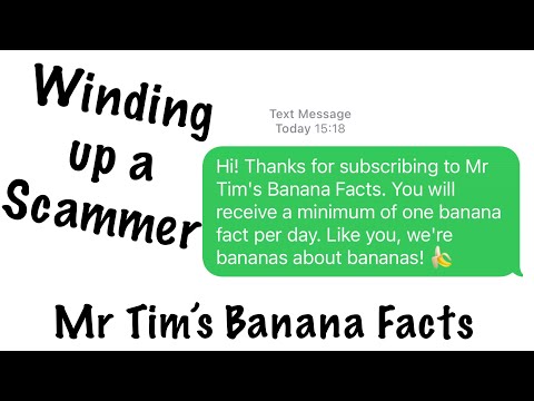 Winding up a Scammer ~ Mr Tim’s Banana Facts