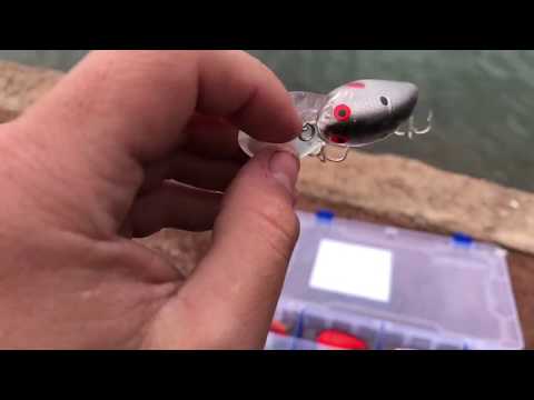 How To Carolina Rig a CrankBait 