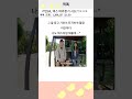 기안84, 덱스 따라잡기 시도?!ㅋㅋㅋ #예능 #연예인반응 #예능레전드