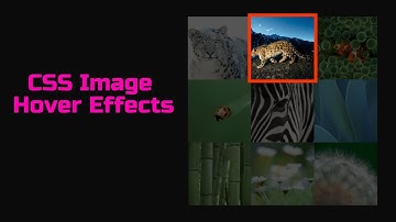CSS Image Hover Effects #javascript #frontend #animation #loader #loading #htmlcss