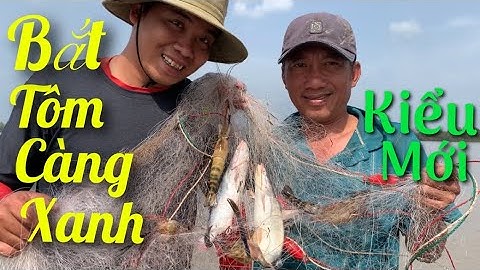 Cách bắt TÔM CÀNG XANH độc đáo của người miền tây về nướng muối ớt ngon ngất ngây | Cldv #107