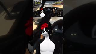 Professional racer | NerdyC160 on #Twitch #racing #driving #vtuber #furry