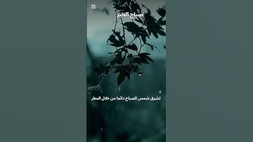 من أجمل التلاوات الخاشعه صباح الخير #quran #القرآن_الكريم