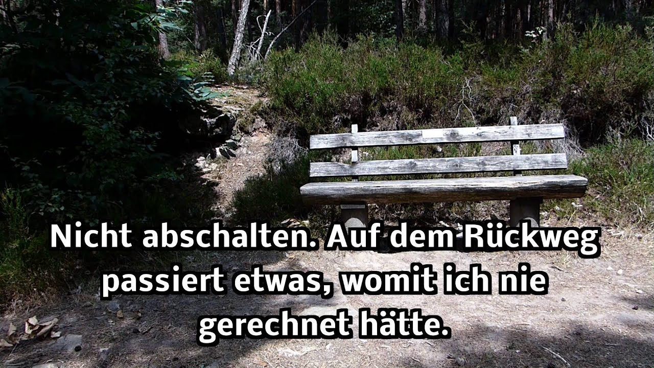 Wanderung zur Ruine Hardenburg und zur Klosterruine Limburg