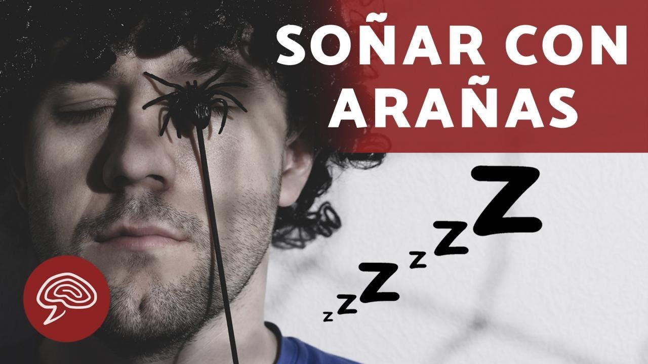 ¿Qué significa SOÑAR con ARAÑAS? 🕷️🕸️ SIGNIFICADO de los SUEÑOS 💤 YouTube ¿Qué significa SOÑAR con ARAÑAS? 🕷️🕸️ SIGNIFICADO de los SUEÑOS 💤 YouTube