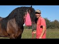Caii lui Cristi Petroae de la Bodia, Salaj - 2021 Nou!!!