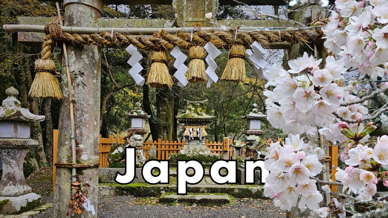 Exploring Kyushu: Ancient Villages & Sacred Trees