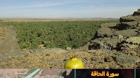 تلاوة خاشعة لسورة الحاقة (العلوي يونس)
