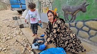 Mrs. Hajar's Challenging Story: Saving a Hungry Puppy in Cold, Rainy Weather