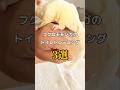 誰にでもできるモモンガトイレトレーニング