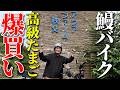 【鰻バイク】目的地に到着!高級たまごを爆買い!【銀シャリ】