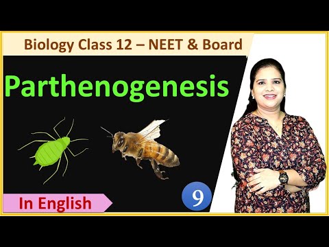 Parthenogenesis and its Types
