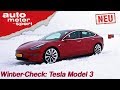 Tesla Model 3 (2019): Winter-Check mit Alexander Bloch - Review/Fahrbericht | auto motor & sport