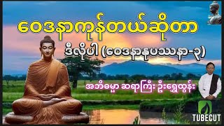 "ဝေဒနာကျော်တယ်ဆိုတာ ဒီလိုပါ" (ဝေဒနာနုပဿနာ-၃) အဘိဓမ္မာဆရာကြီး ဉီးရွှေထွန်း