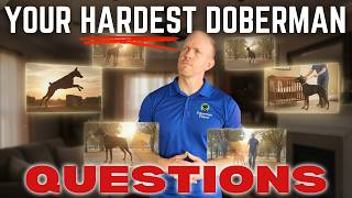 Answering Your HARDEST Doberman Training Questions