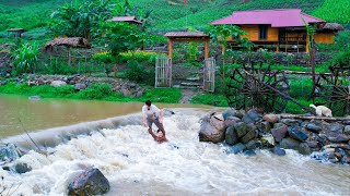 Heavy rain - Floods destroy the farm. SANG VY - face danger - save the garden and farm animals