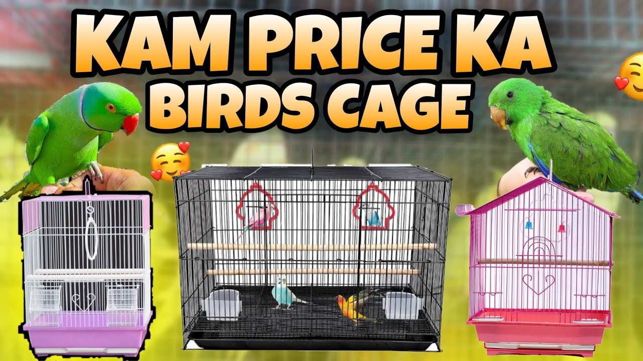 Kam Price ka Birds Cage | Birds Cage | Online Parrot Cage | Birds Cage Market | Birds Cage Price