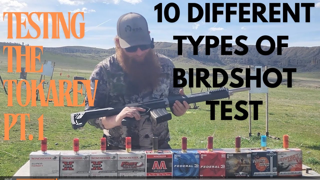 Tokarev Tar 12 Shotgun - Birdshot Test - YouTube