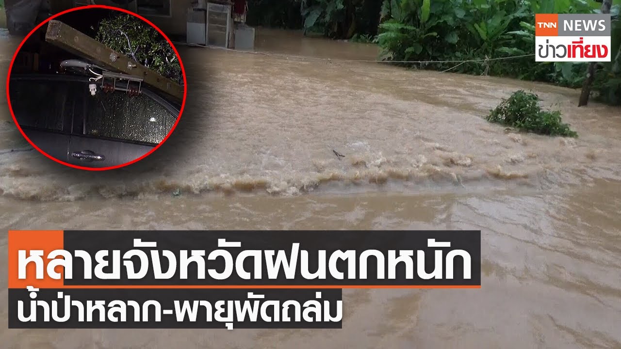 เตือนฝนตกทั่วไทย - น้ำป่าหลากท่วมหมู่บ้าน จ.ตรัง - เชียงใหม่น้ำท่วมหลายจุด | TNN ข่าวเที่ยง | 7-7-21