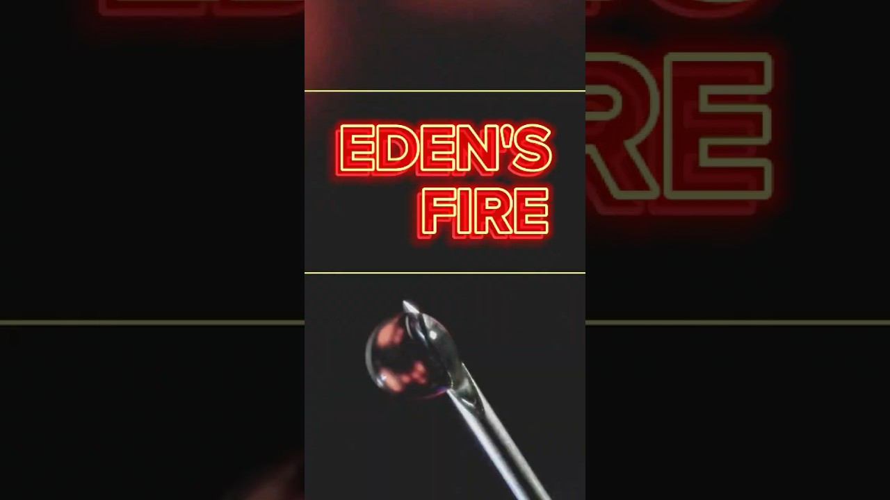 Eden's Fire Sativa Concentrate Review - Cloud x Green Dragon Dispensary