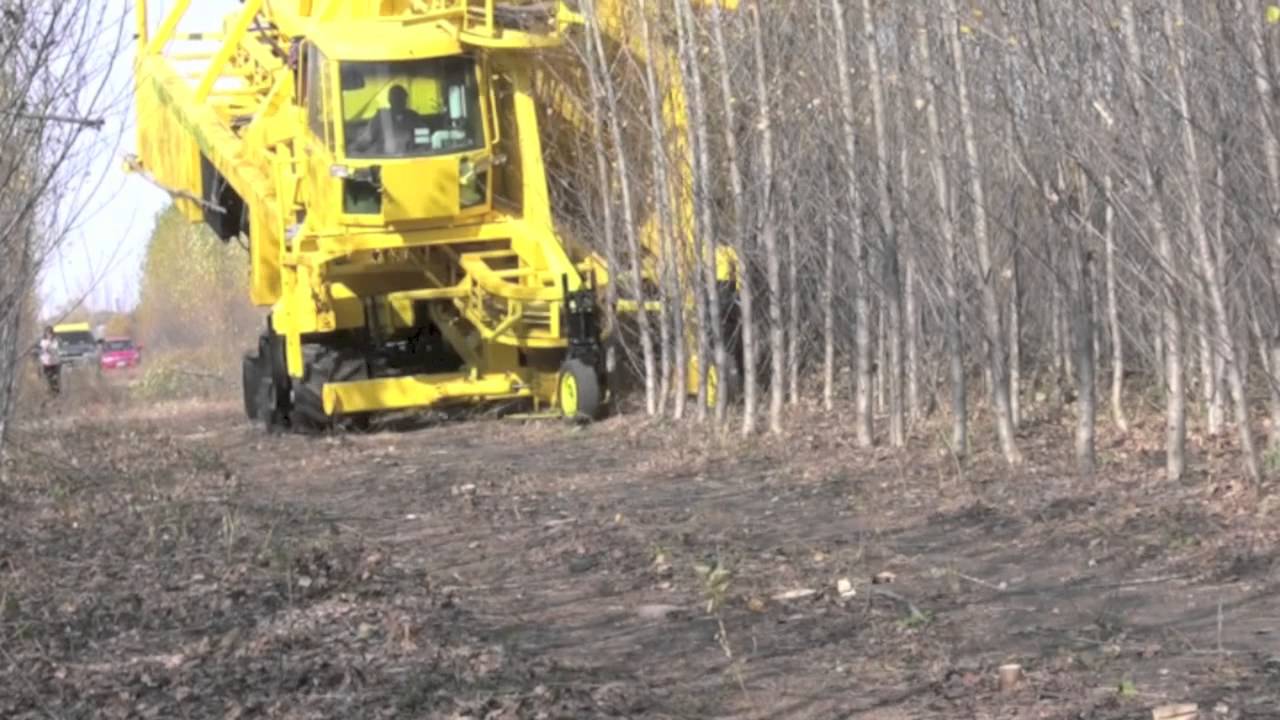 Whole Tree Harvester YouTube
