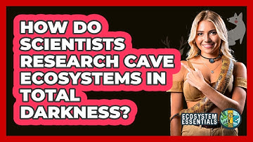 How Do Scientists Research Cave Ecosystems In Total Darkness? - Ecosystem Essentials