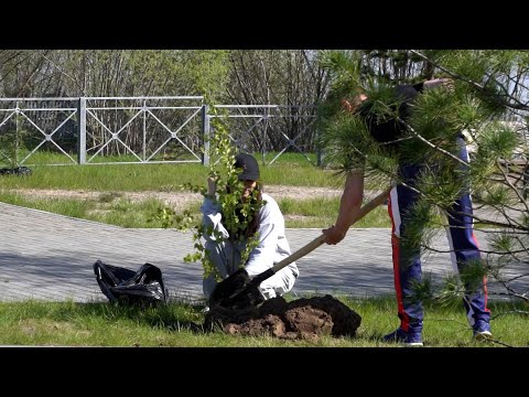 Эколого-патриотическая акция «Сад