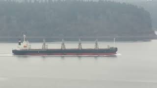 MVI 1300 - Feb. 9th, 2022 - 8:40 AM - log ship Global Discovery heading  to the Port Of Olympia.