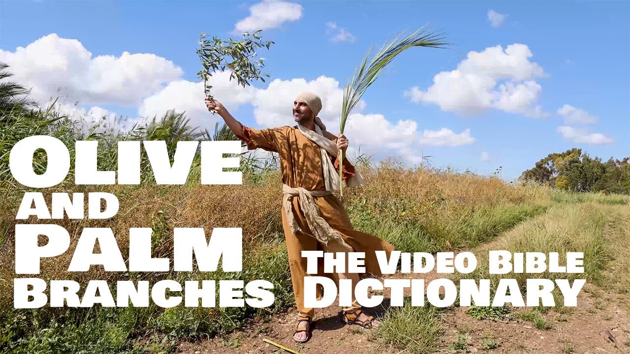 Significance Of Palm Branches In The Bible Significance Of Palm Branches In The Bible