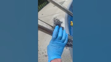 HOW TO MAKE YOUR POOL LADDER SHINE