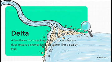 sedimentary environments