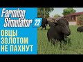 🐑 Всё об овцах в Farming Simulator 22