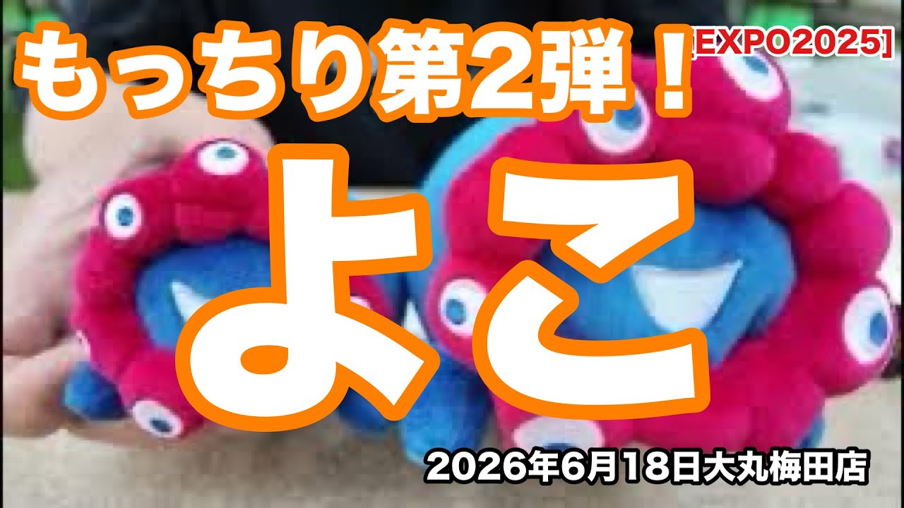 EXPO2025】もっちり(横) 大丸梅田店！偶然の出会いに感謝😭✨もっちり
