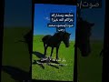 أفلا يتدبرون القرأن 