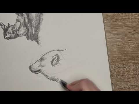 HOW TO DRAW A BEAR!!! КАК НАРИСОВАТЬ МЕДВЕДЯ!!!